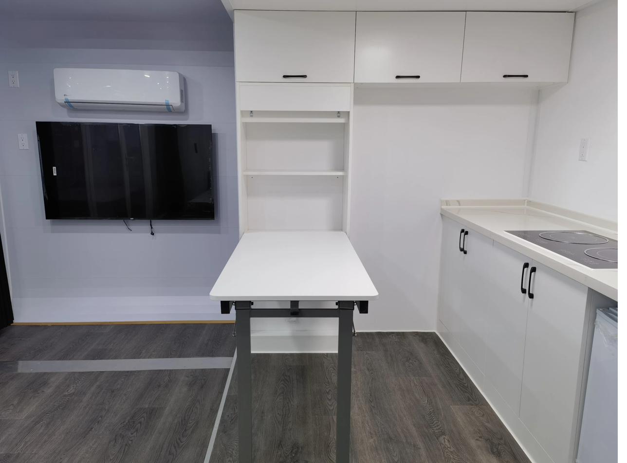 Mini home interior — open kitchen-living layout with Murphy wall bed and adjacent bathroom
